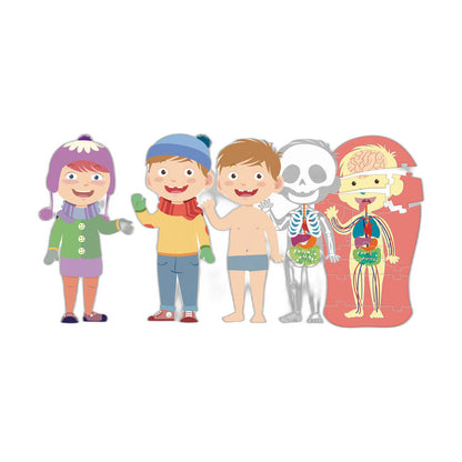The Human Body Nerdscape