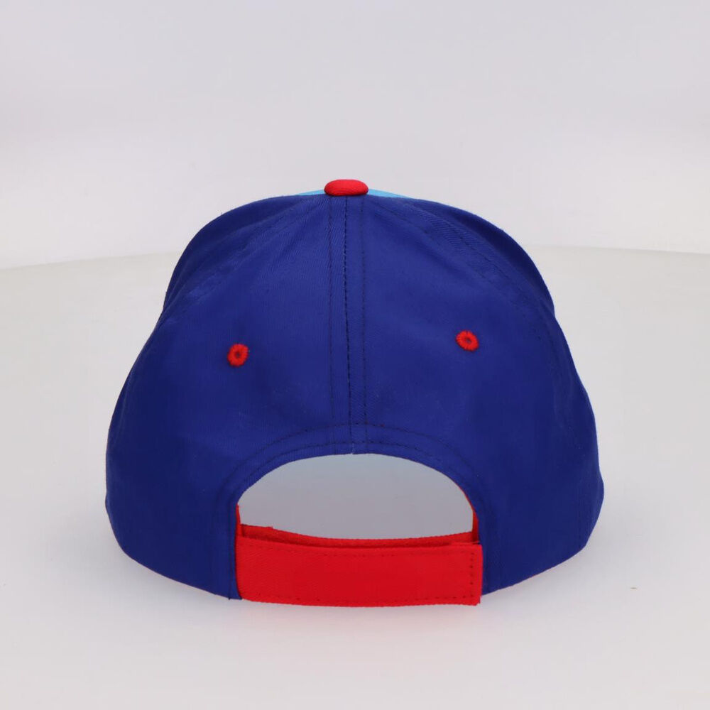 Paw Patrol assorted cap Nerdscape