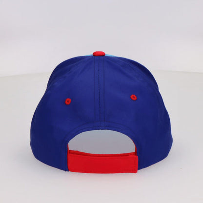 Paw Patrol assorted cap Nerdscape