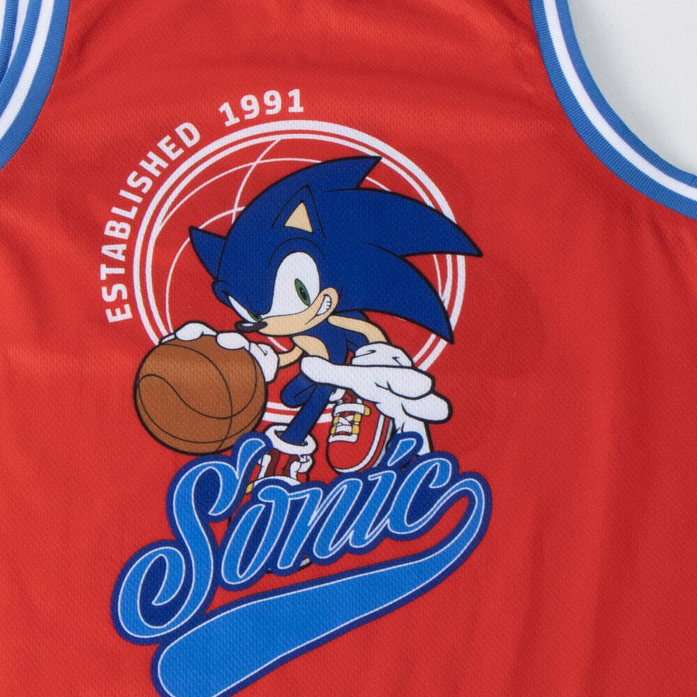 Sonic the Hedgehog outfit Nerdscape