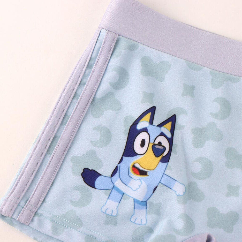 Bluey boxer swimwear Nerdscape
