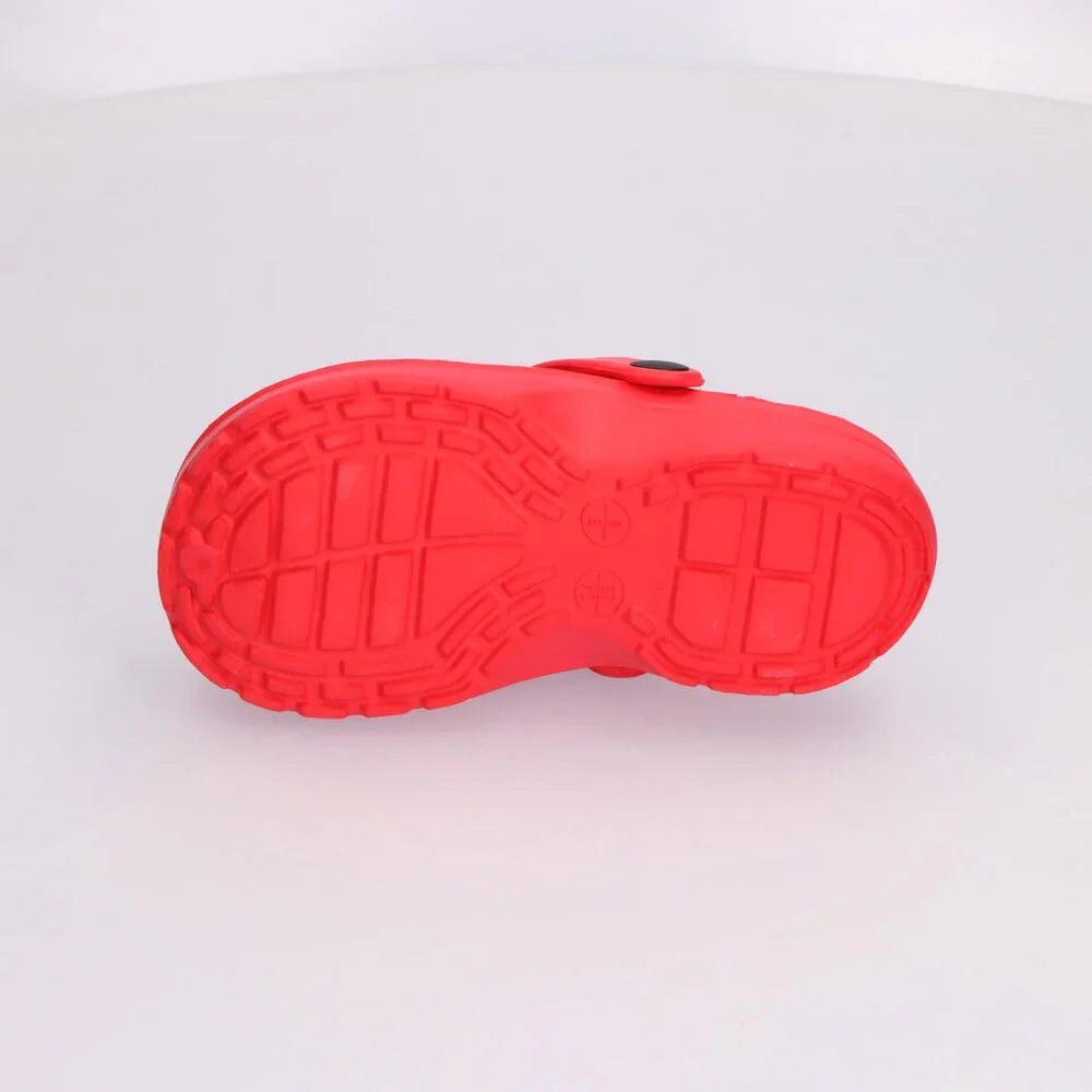 Disney Minnie assorted clogs Nerdscape