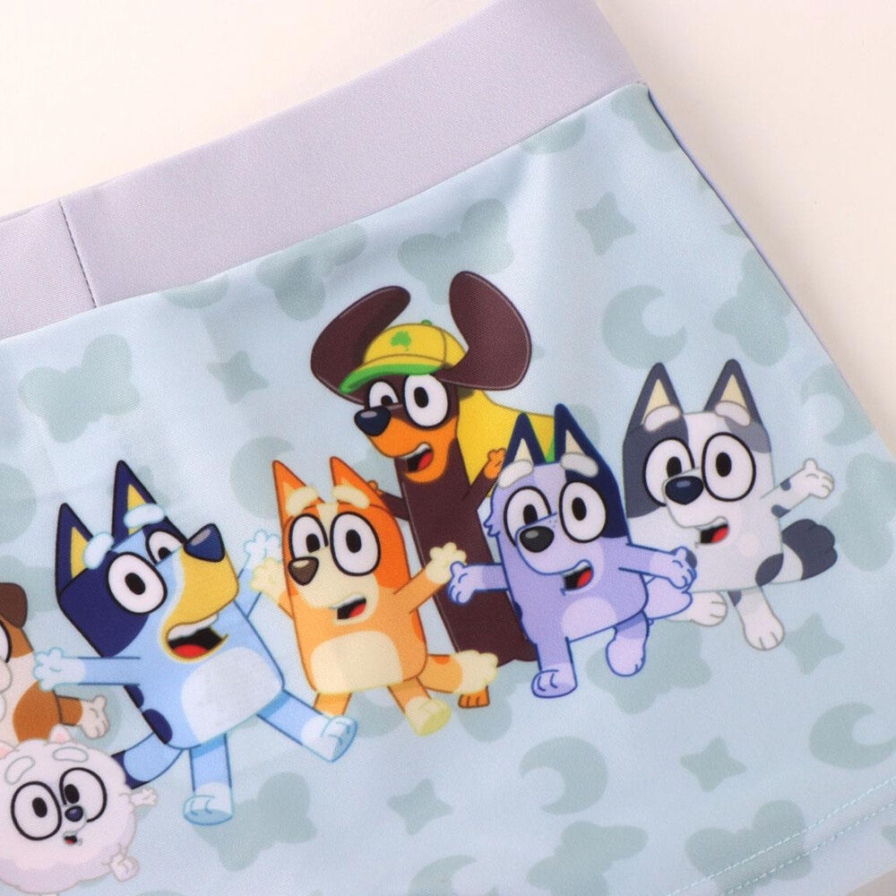 Bluey boxer swimwear Nerdscape