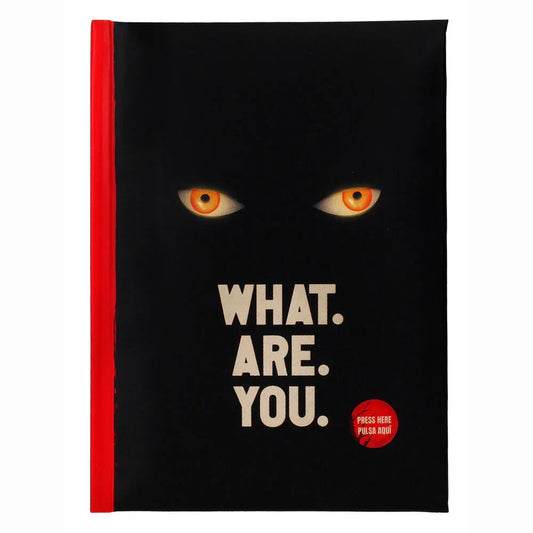 IT Welcome To Derry What Are You notebook Nerdscape