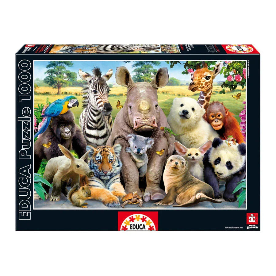 Its a Class Photo puzzle 1000pcs Nerdscape