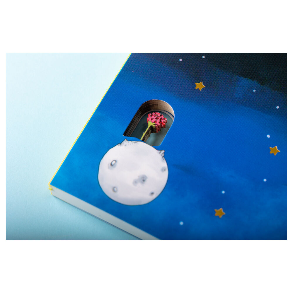 The Little Prince A5 notebook Nerdscape