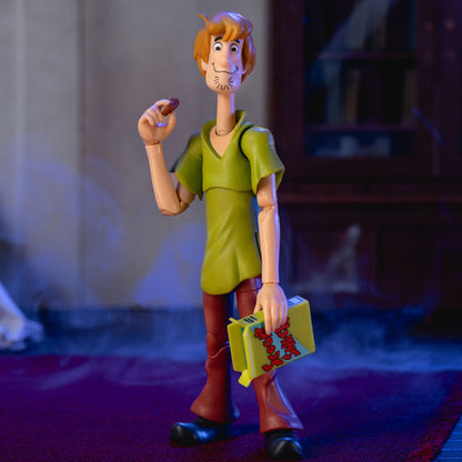 Scooby-Doo Shaggy Rogers figure 16,5cm Nerdscape