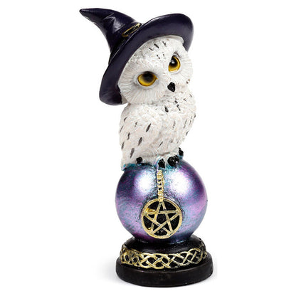 Wise Magic Owl assorted figure Nerdscape