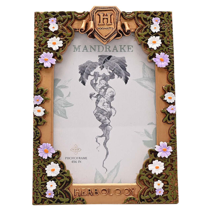 Harry Potter Herbology photo frame Nerdscape