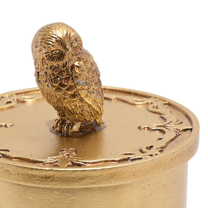 Harry Potter Hedwig trinket box Nerdscape