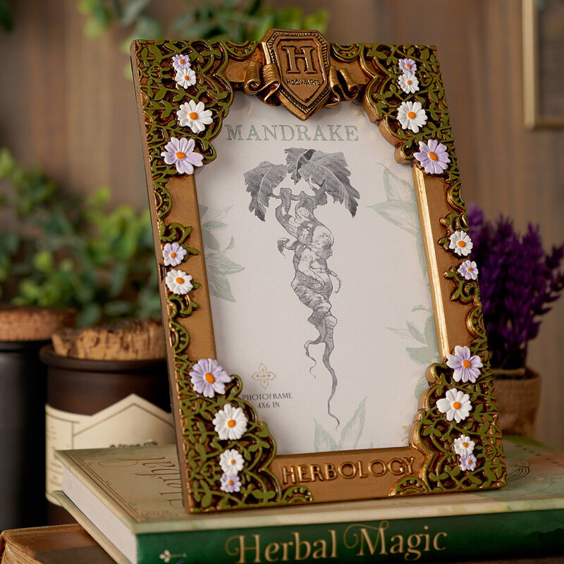 Harry Potter Herbology photo frame Nerdscape