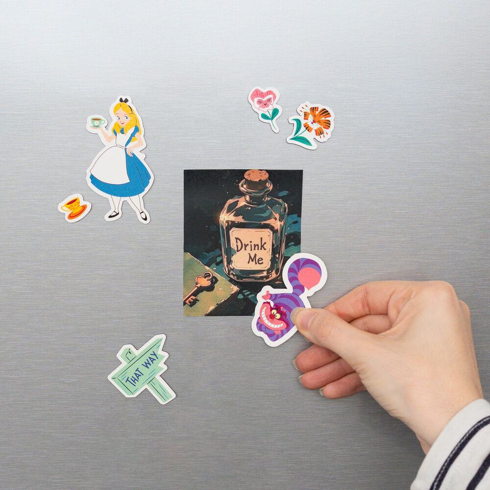 Disney Alice in Wonderland set of die-cut magnets