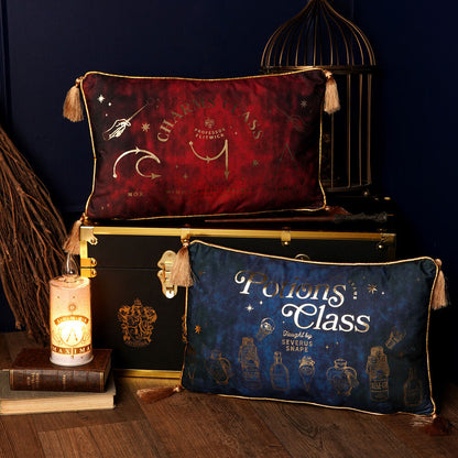 Harry Potter Charms Class velvet cushion