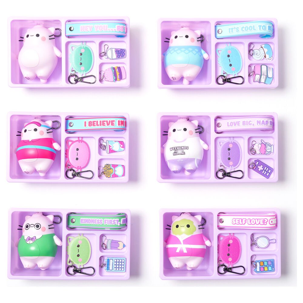 Pembe assorted mystery box keychain