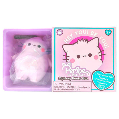 Pembe assorted mystery box keychain