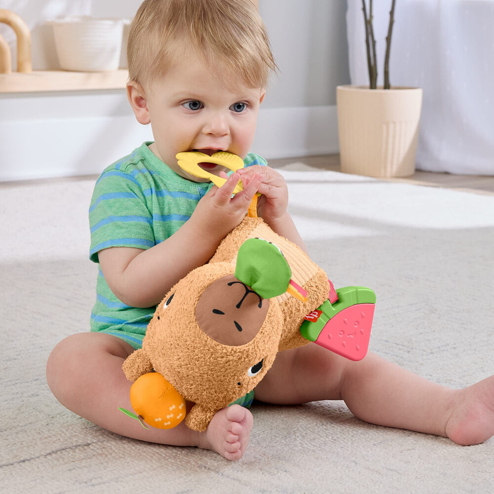 Snuggly Snacky Capy plush toy