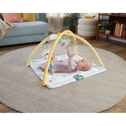 Simply Senses Newborn Gym