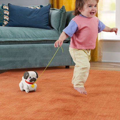 Take the Pug for a Walk