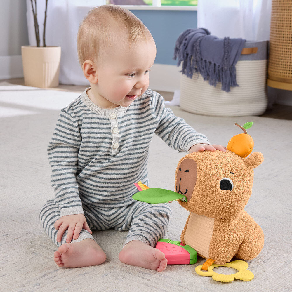 Snuggly Snacky Capy plush toy