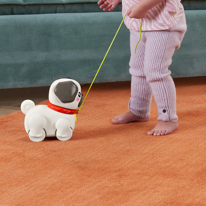 Take the Pug for a Walk
