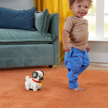 Take the Pug for a Walk