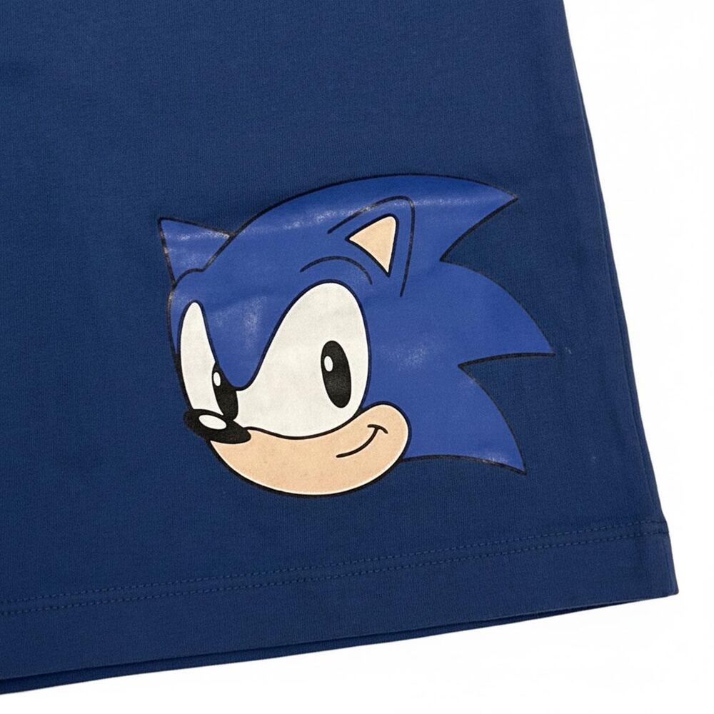 Sonic the Hedgehog outfit Nerdscape