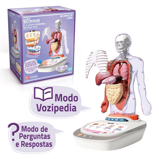 Science interactive anatomical model of the human body