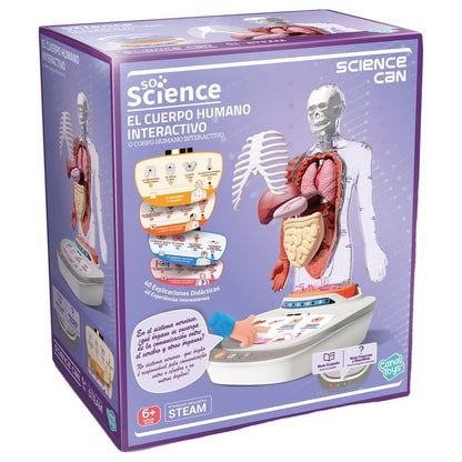 Science interactive anatomical model of the human body