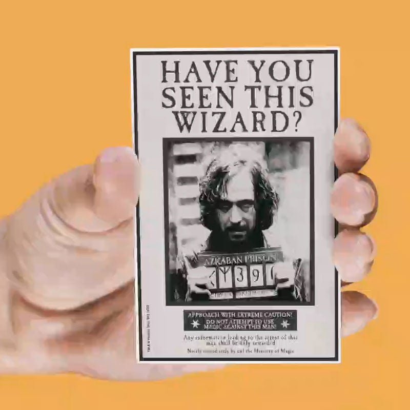 Harry Potter set of 4 assorted lenticular magnets - Nerdscape