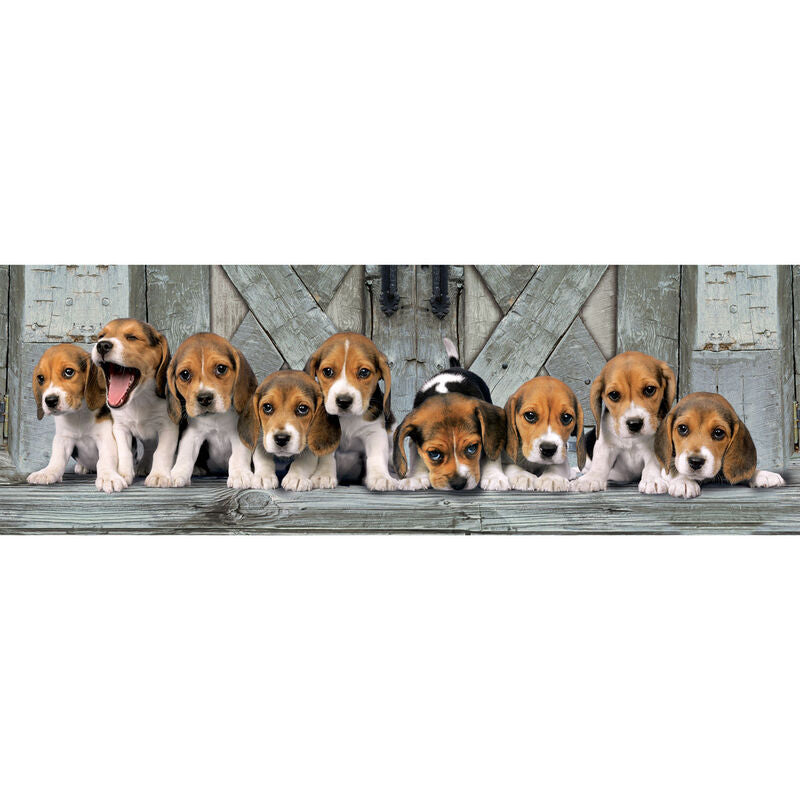 Beagles Panorama puzzle 1000pcs