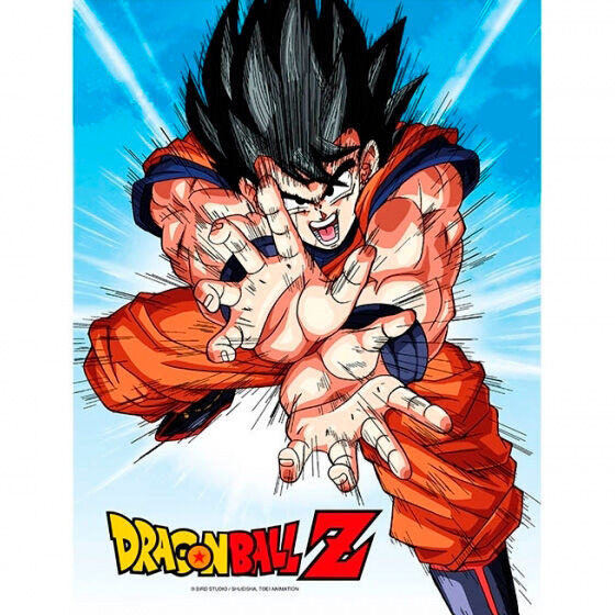 Affiche Dragon Ball Z Goku Kame Glass