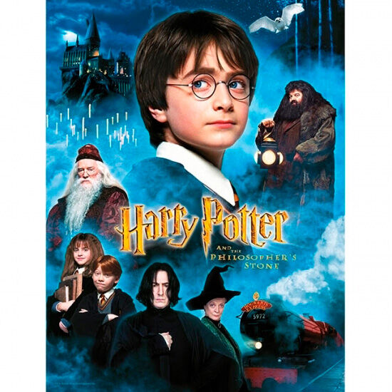 Affiche en verre Harry Potter à l'école des sorciers