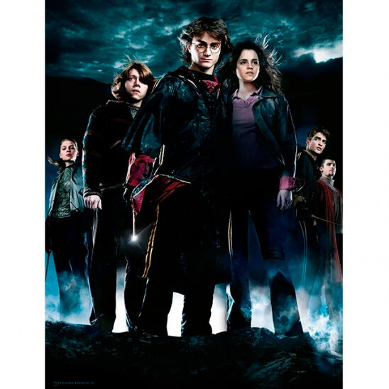 Affiche en verre du groupe Harry Potter