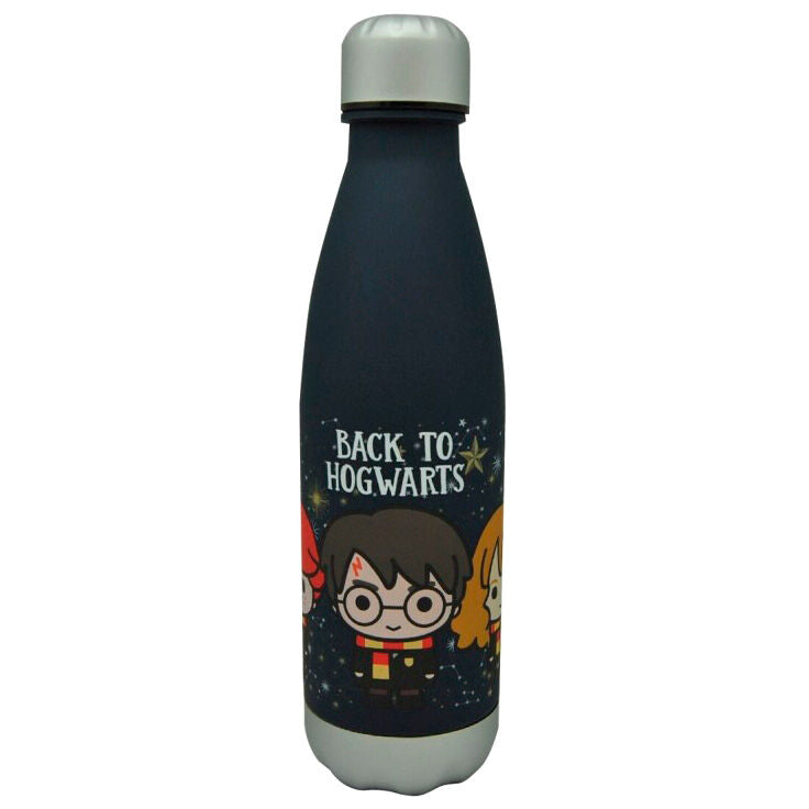 Harry Potter Back to Hogwarts bottle 650ml