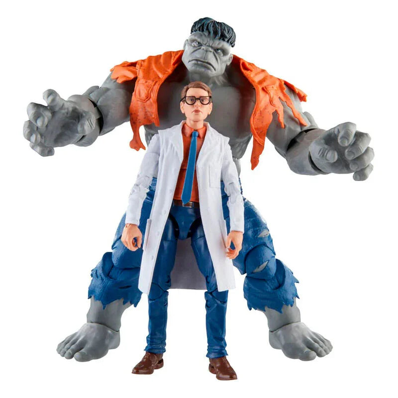 Marvel Avengers Hulk & Dr. Bruce Banner Figura da Collezione 15cm - Nerdscape Nerdscape