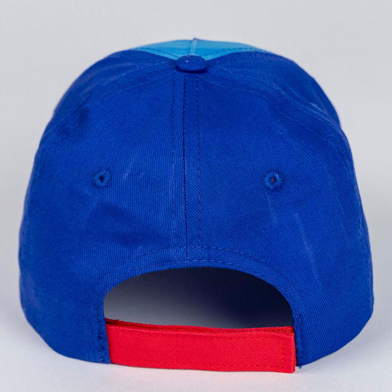 Paw Patrol assorted cap