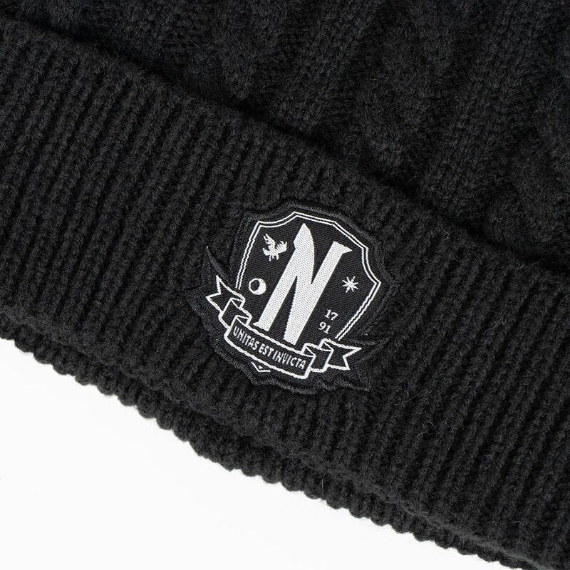 Wednesday hat and gloves set