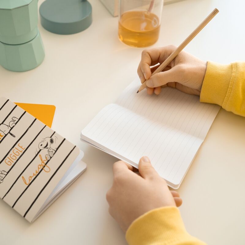 Lot de 3 cahiers A6 Snoopy Lazy Days