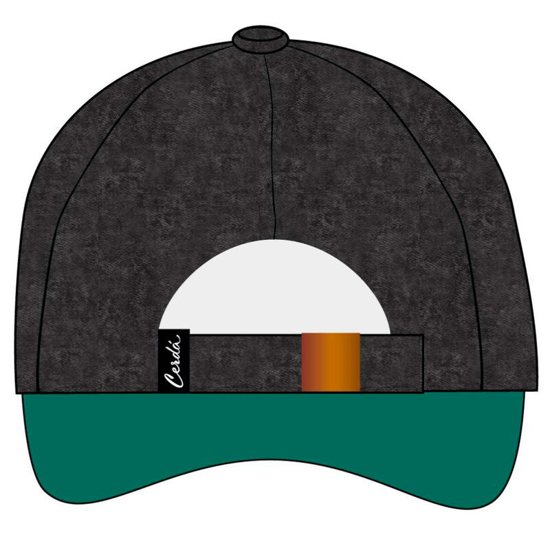 Chapeau Serpentard d'Harry Potter