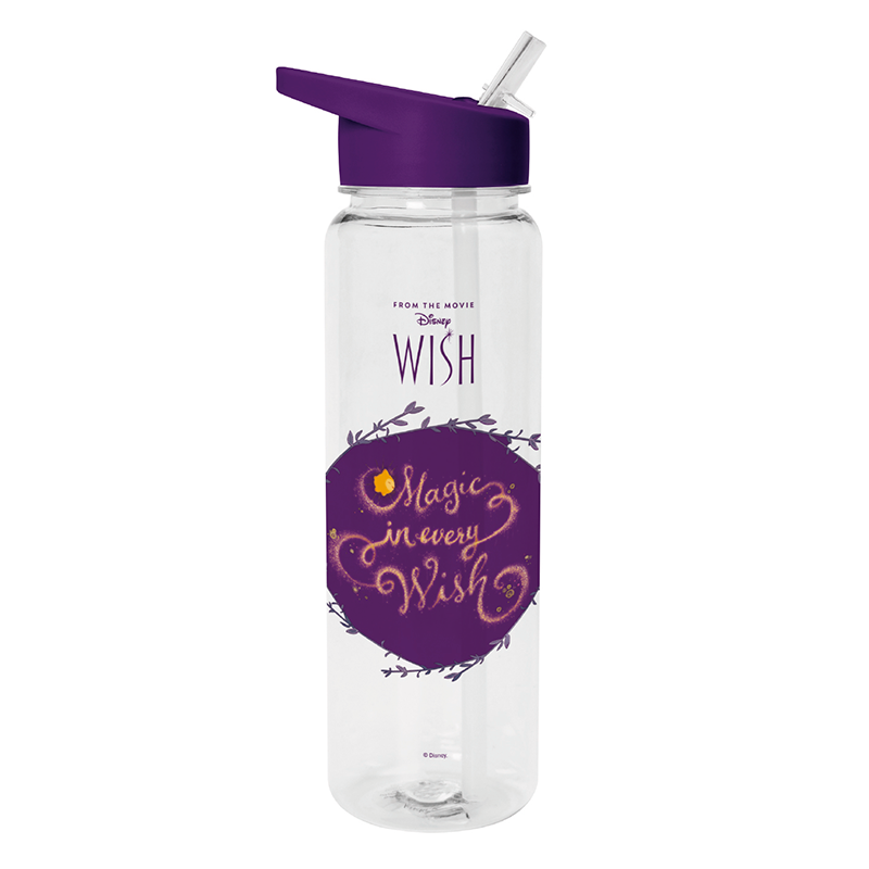 Disney Wish bottle 700ml Nerdscape
