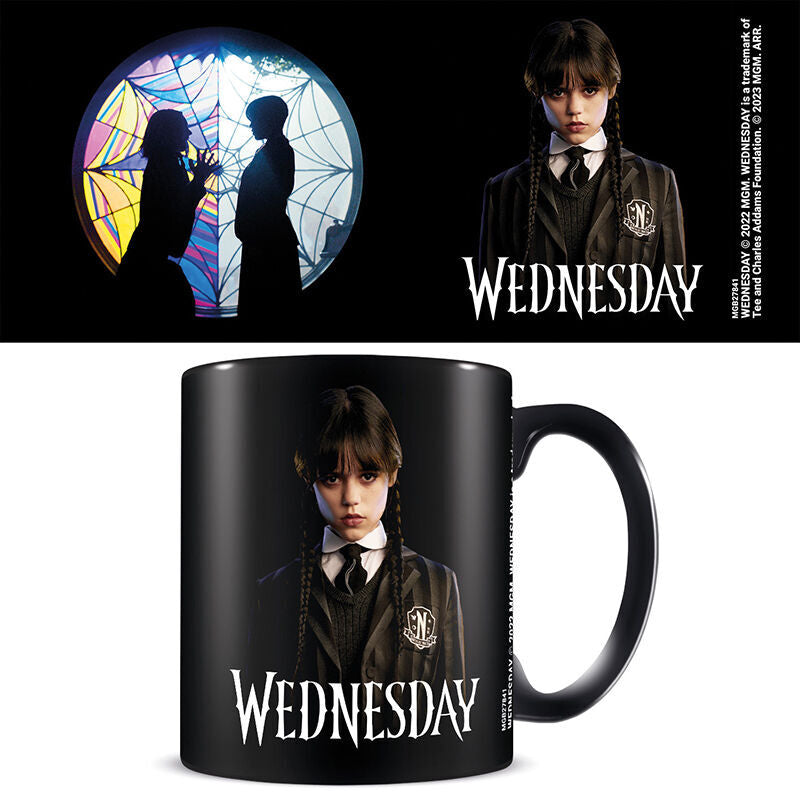 Wednesday Friendship mug 315ml Nerdscape