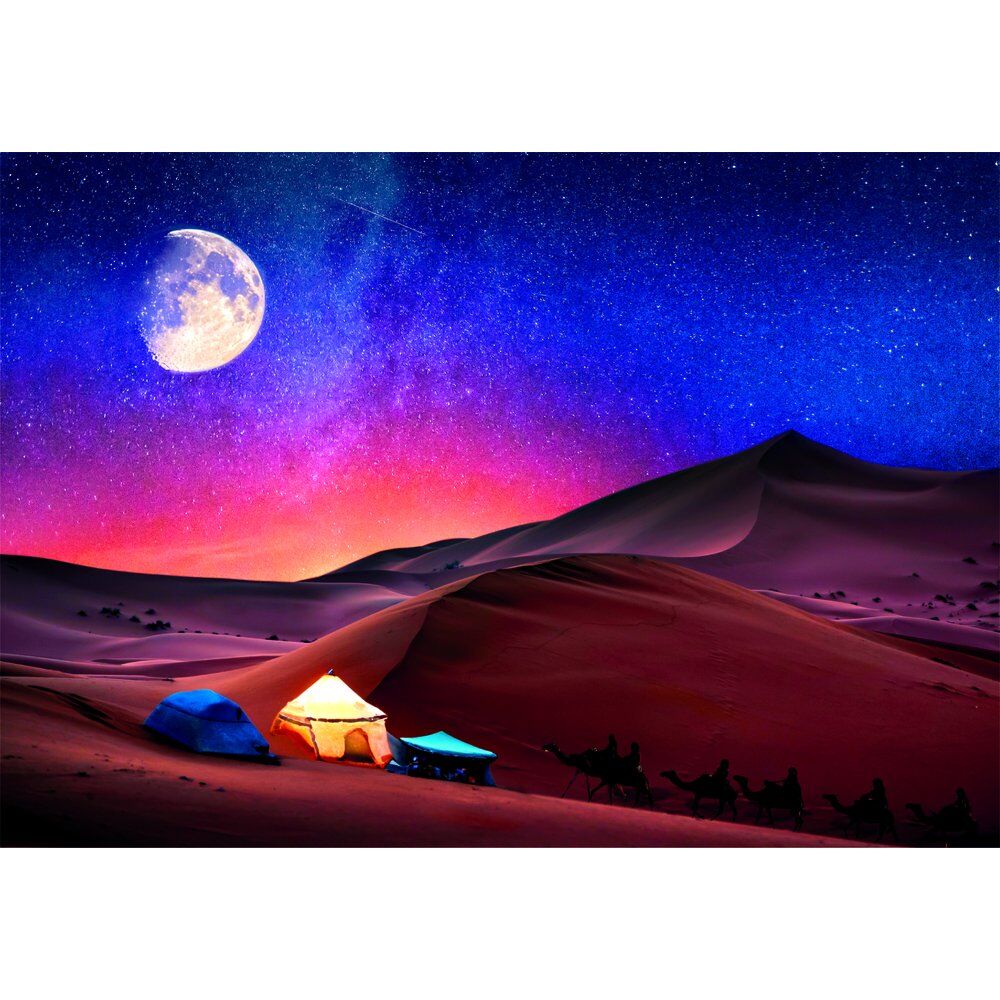 Puzzle Rêve de Nuit Étoilée 500 pièces