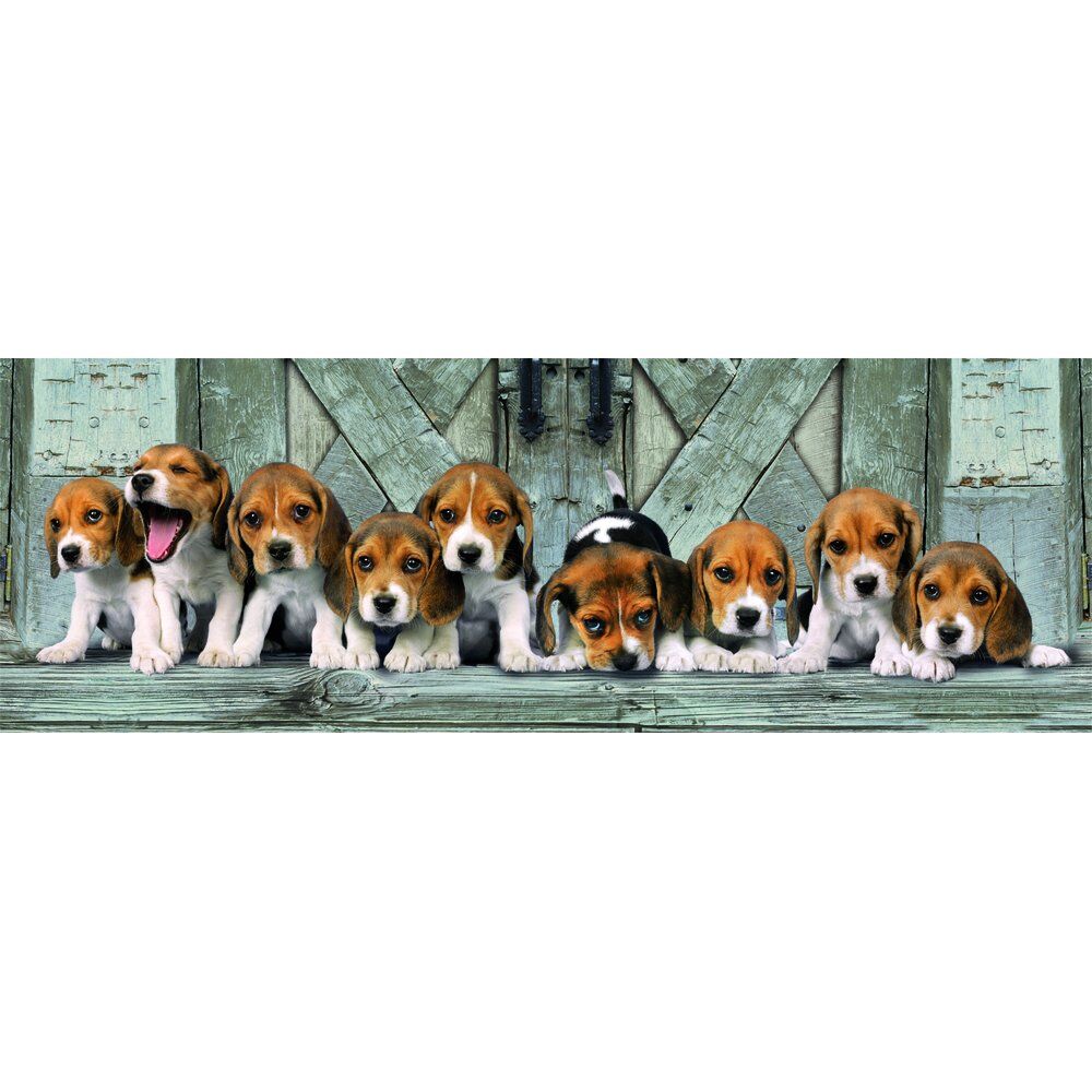 Puzzle panoramique Beagles de haute qualité 1000 pièces