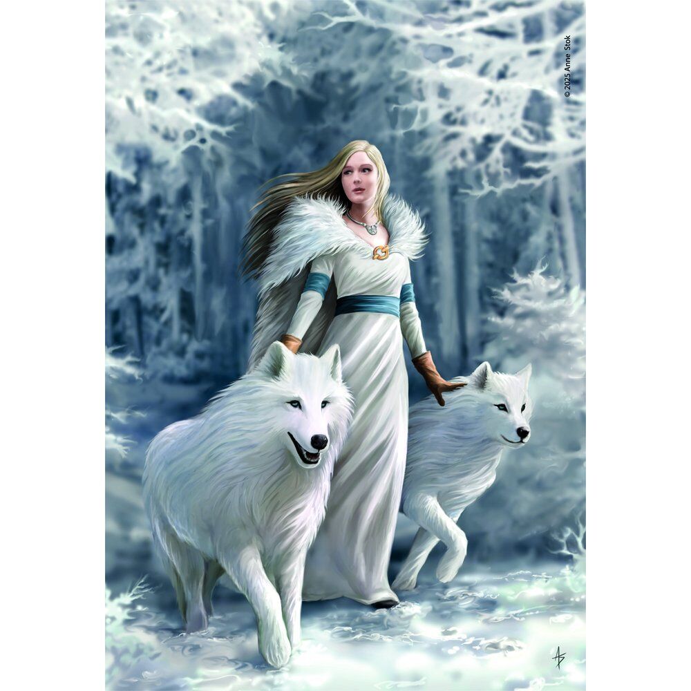 Puzzle Anne Stokes Winter Guardians de 1000 pièces