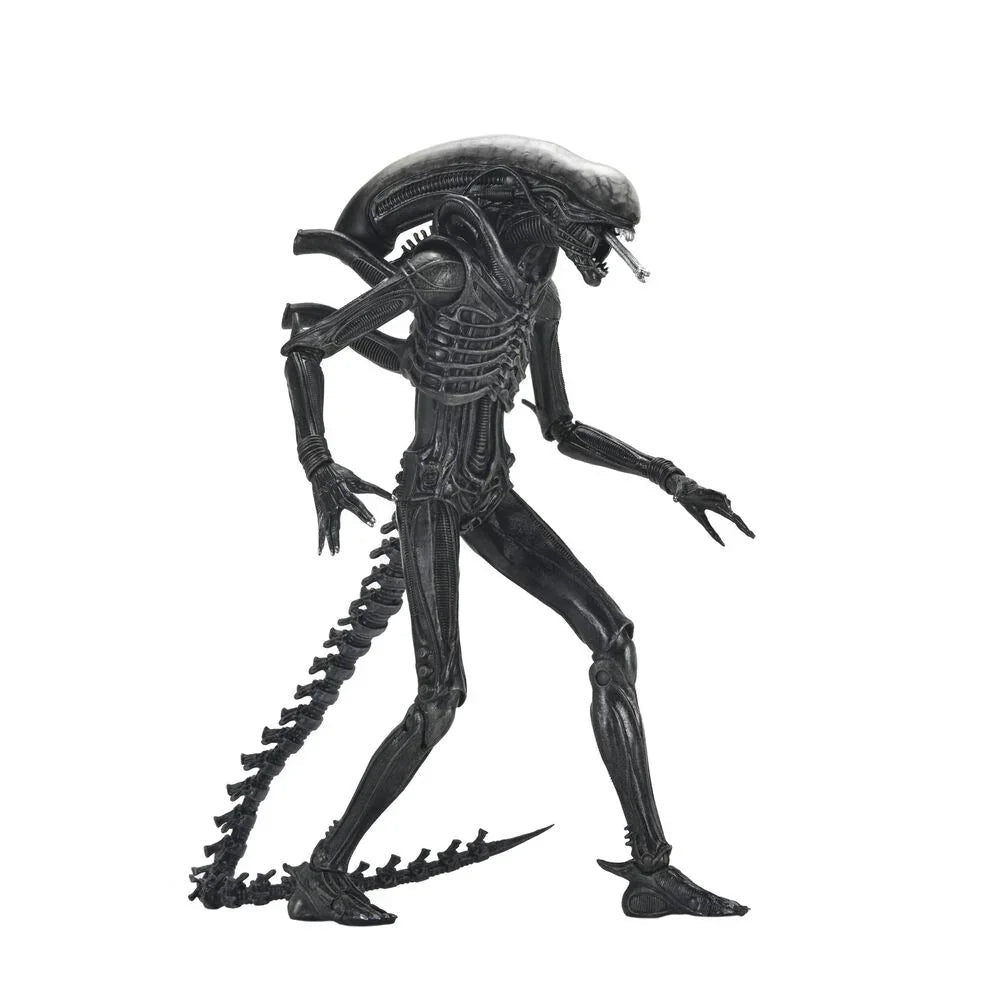 Alien Romulus Xenomorph Ultimate Figura da Collezione 18cm - Nerdscape Nerdscape