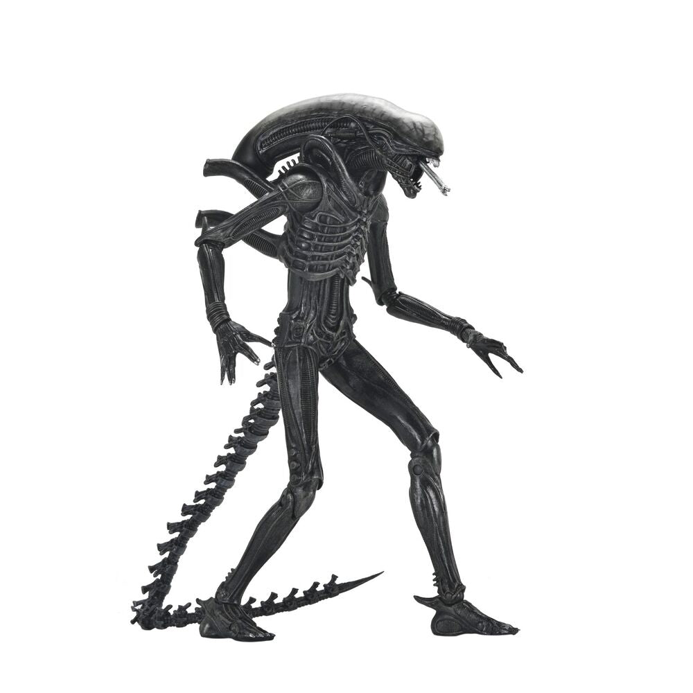 Alien: Romulus Xenomorph Ultimate figure 18cm