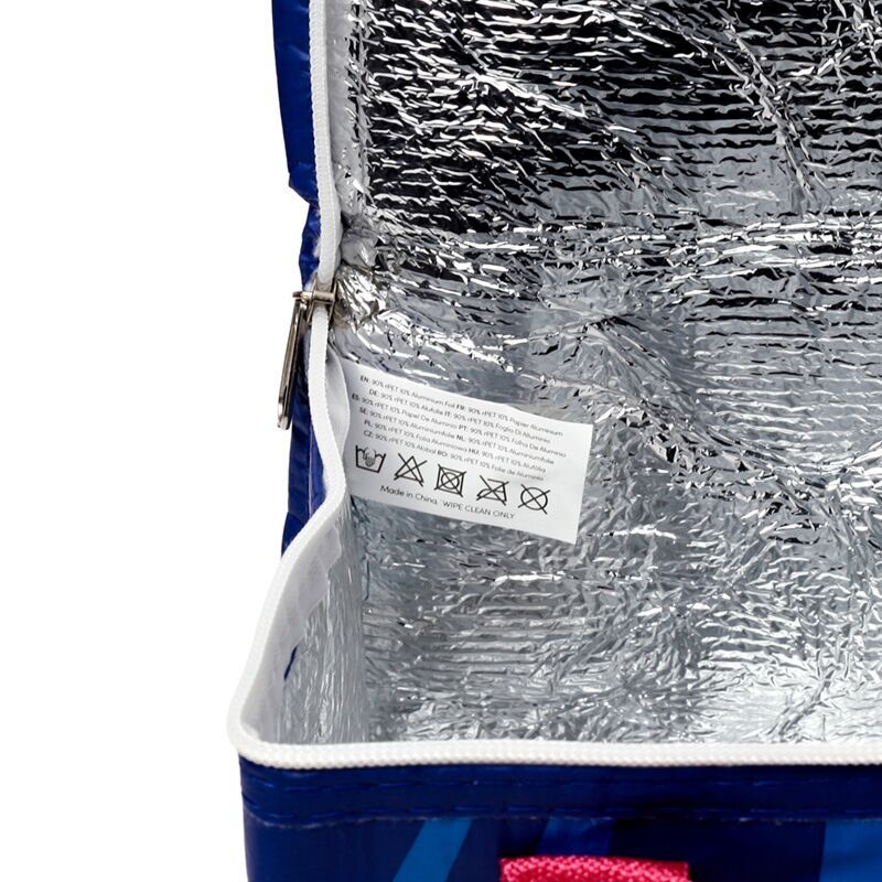 Minecraft Axolotl Cooler bag