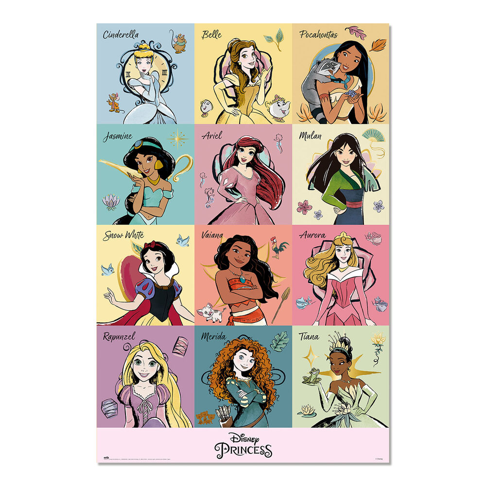 Disney Princess Poster Figura da Collezione - Nerdscape