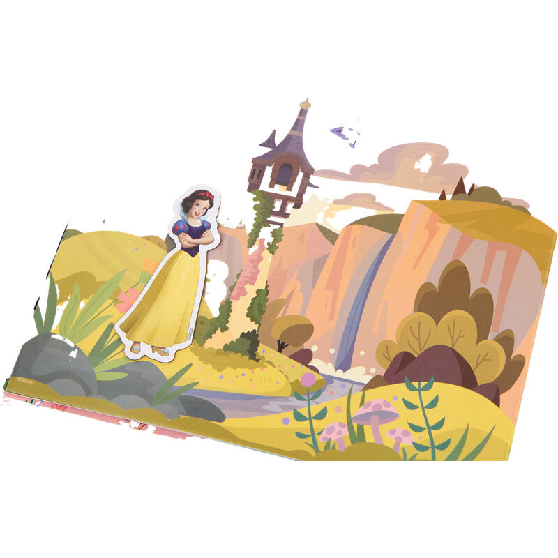 Disney Princess Magnetic book + sticker