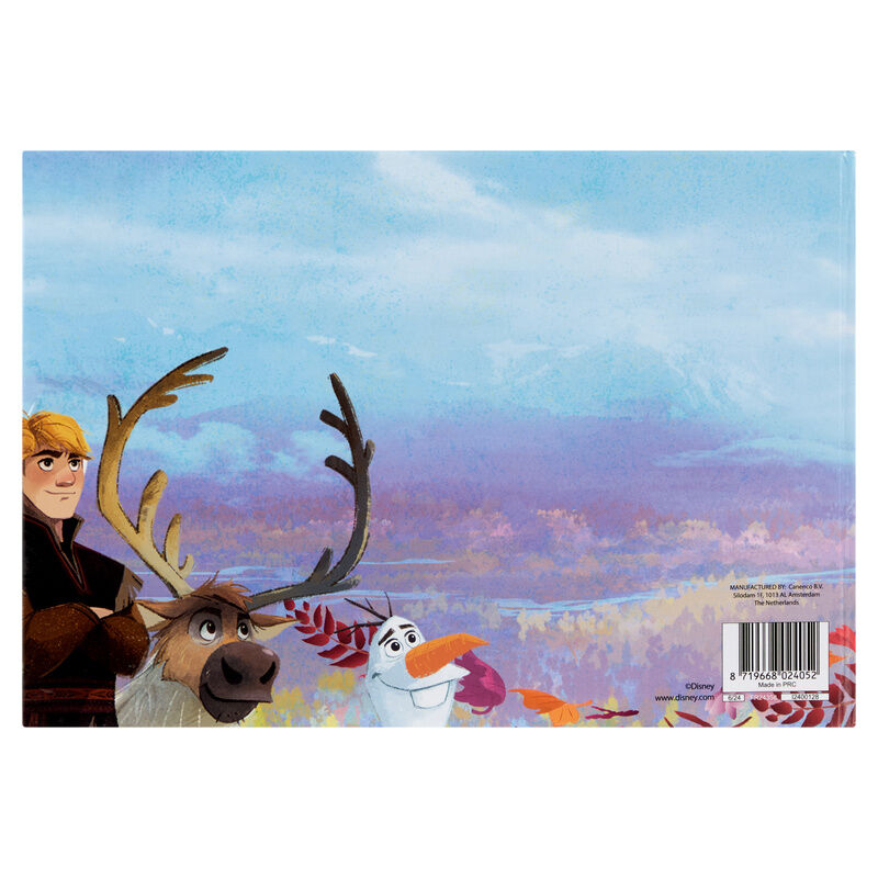 Disney Frozen Magnetic book + sticker